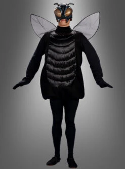 Riesenfliege Lästige Mücke Mit Maske